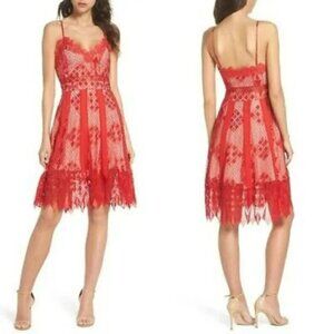 Foxiedox Calla Lace Scallop Dress Red Sz Small Knee Length Summer Sexy V Neck
